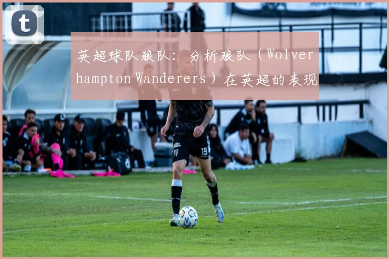 英超球队狼队：分析狼队（Wolverhampton Wanderers）在英超的表现。