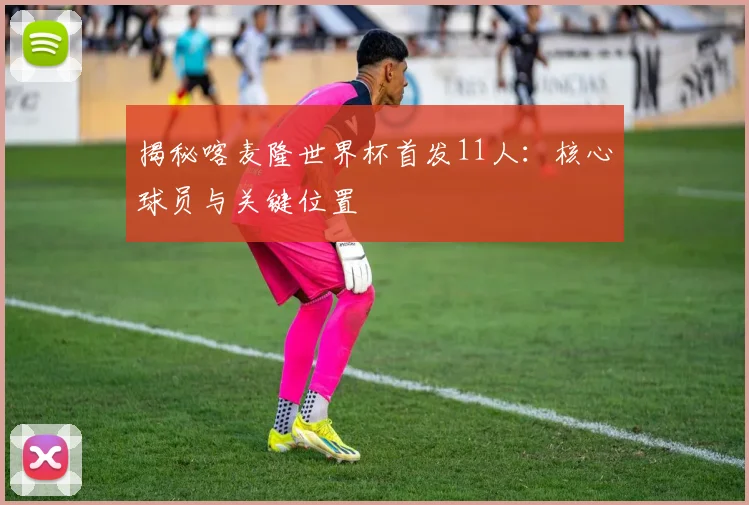 揭秘喀麦隆世界杯首发11人：核心球员与关键位置