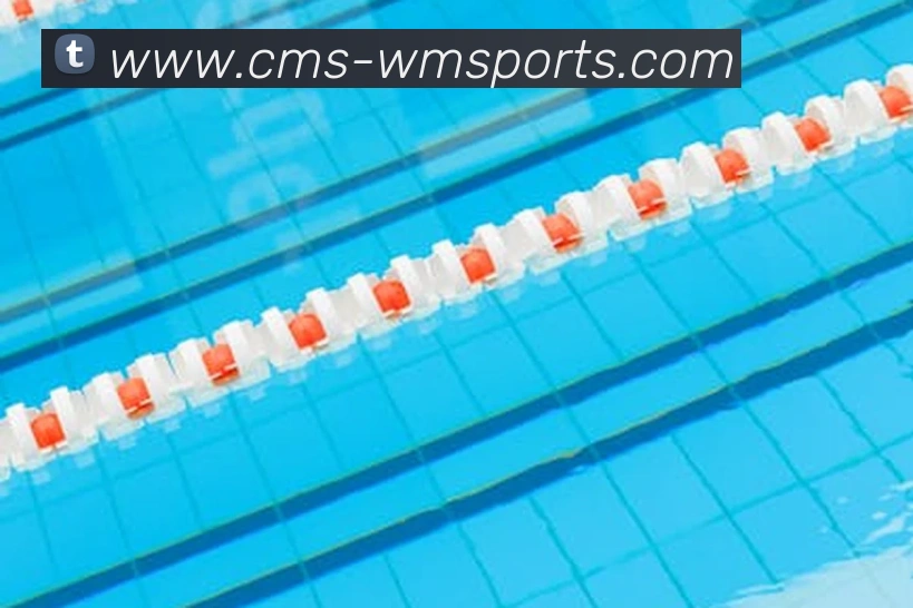 App Interface Preview