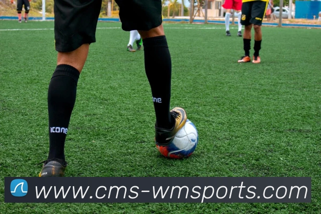 完美体育官网APP 封面图